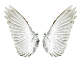 asas de anjo